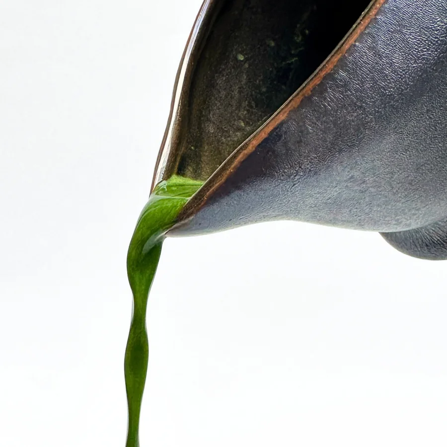Matcha pouring from the lip of a katakuchi